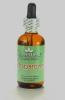 Stevia - Cinnamon